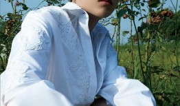 娱乐大爆料 刘雨昕小说,刘雨昕小说中的璀璨星途